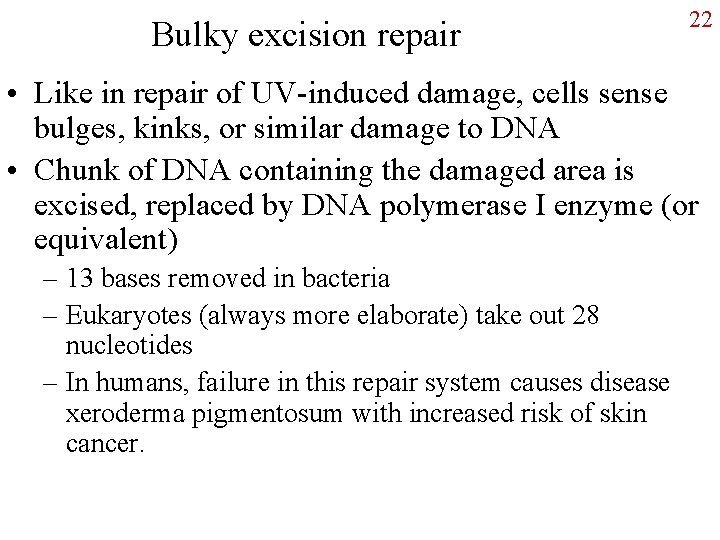 Bulky excision repair 22 • Like in repair of UV-induced damage, cells sense bulges,