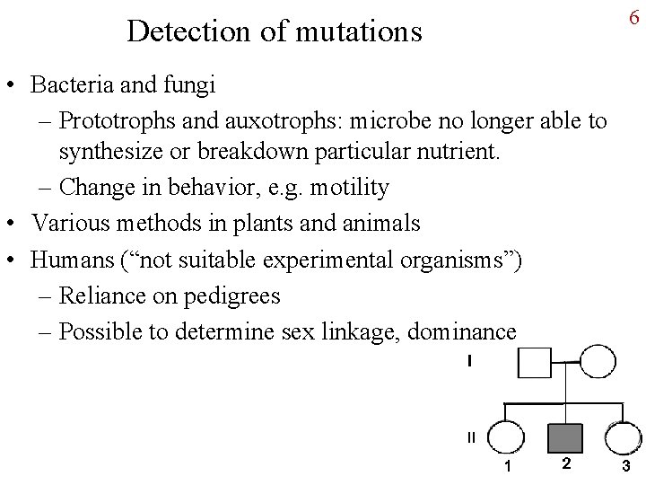 Detection of mutations • Bacteria and fungi – Prototrophs and auxotrophs: microbe no longer