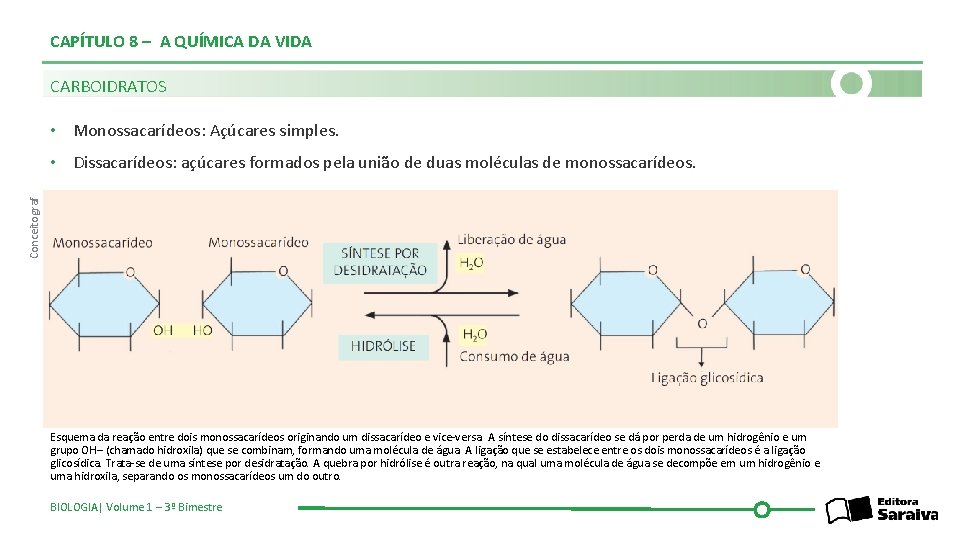 CAPÍTULO 8 – A QUÍMICA DA VIDA CARBOIDRATOS • Monossacarídeos: Açúcares simples. Conceitograf •
