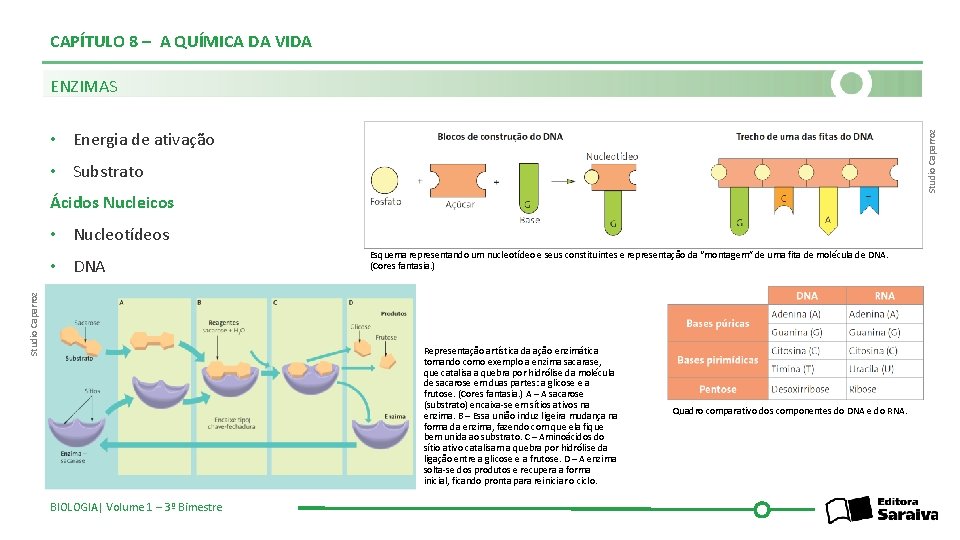 CAPÍTULO 8 – A QUÍMICA DA VIDA ENZIMAS Studio Caparroz • Energia de ativação