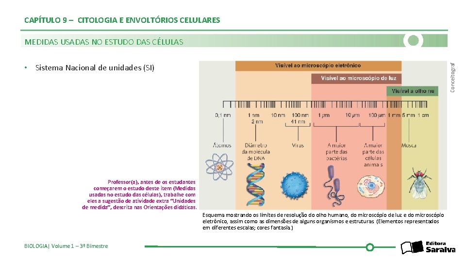 CAPÍTULO 9 – CITOLOGIA E ENVOLTÓRIOS CELULARES MEDIDAS USADAS NO ESTUDO DAS CÉLULAS Conceitograf