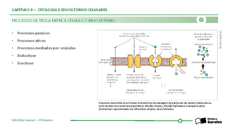 CAPÍTULO 9 – CITOLOGIA E ENVOLTÓRIOS CELULARES PROCESSOS DE TROCA ENTRE A CÉLULA E