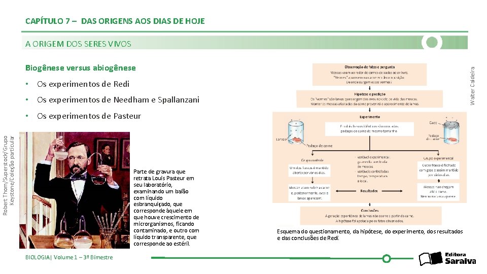 CAPÍTULO 7 – DAS ORIGENS AOS DIAS DE HOJE A ORIGEM DOS SERES VIVOS
