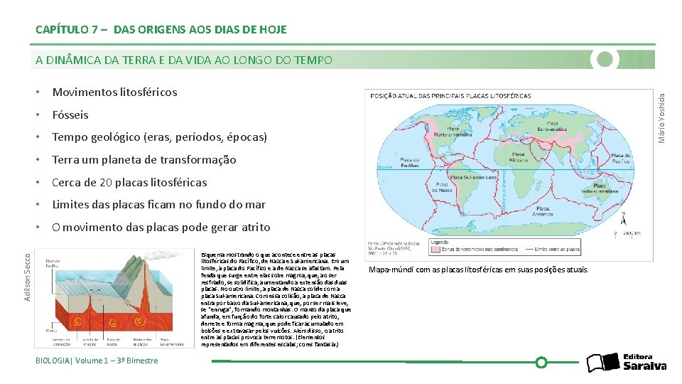 CAPÍTULO 7 – DAS ORIGENS AOS DIAS DE HOJE A DIN MICA DA TERRA