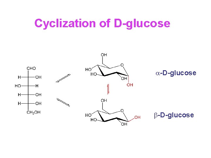 Cyclization of D-glucose a-D-glucose b-D-glucose 