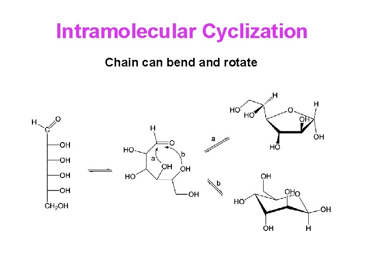 Intramolecular Cyclization Chain can bend and rotate 