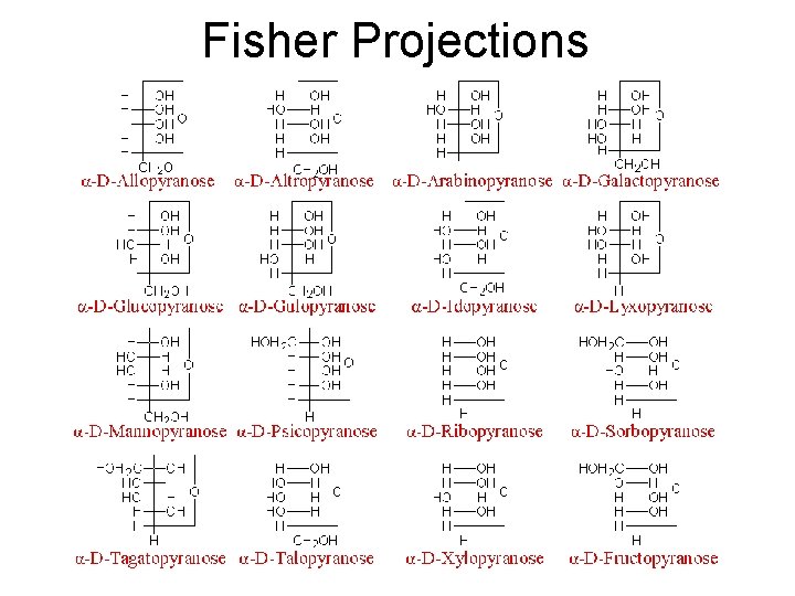 Fisher Projections 