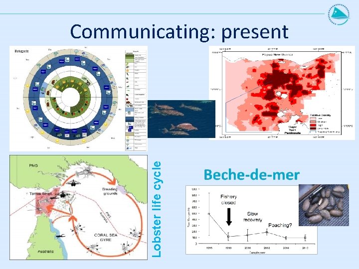 Lobster life cycle Communicating: present 