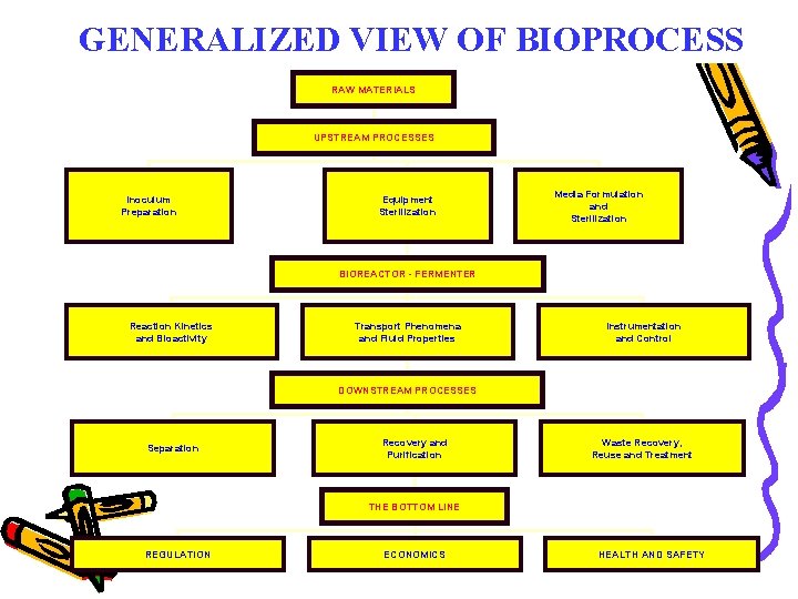 GENERALIZED VIEW OF BIOPROCESS RAW MATERIALS UPSTREAM PROCESSES Inoculum Preparation Equipment Sterilization Media Formulation