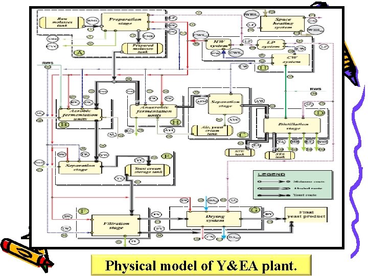 Physical model of Y&EA plant. 