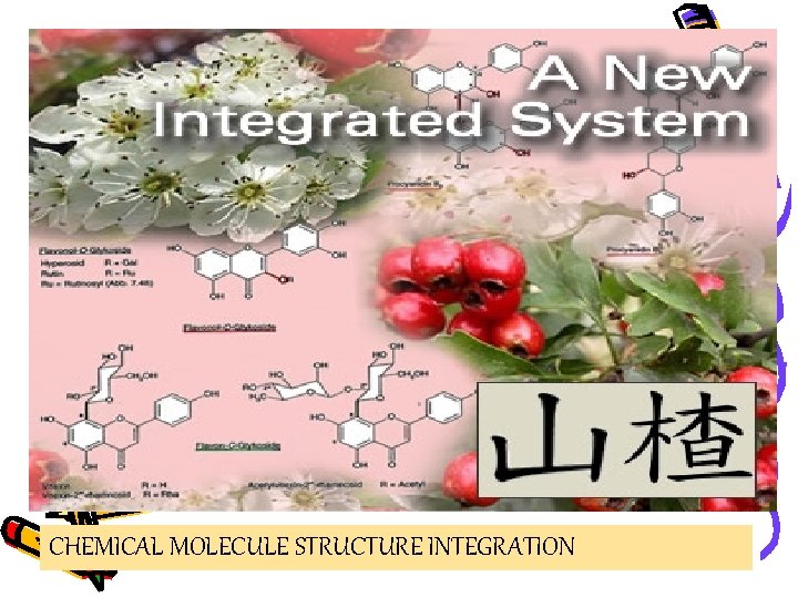 CHEMICAL MOLECULE STRUCTURE INTEGRATION 