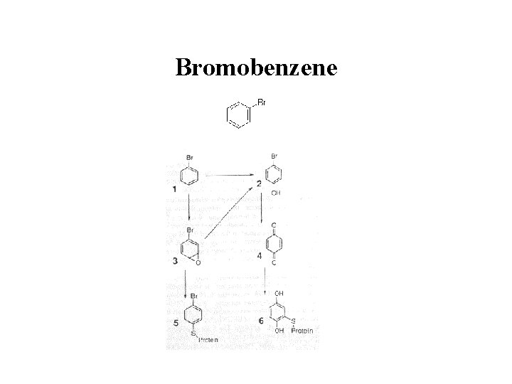 Bromobenzene 