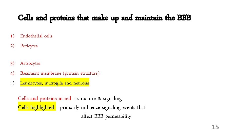 Cells and proteins that make up and maintain the BBB 1) Endothelial cells 2)