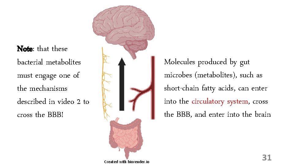 Note: that these bacterial metabolites must engage one of the mechanisms described in video