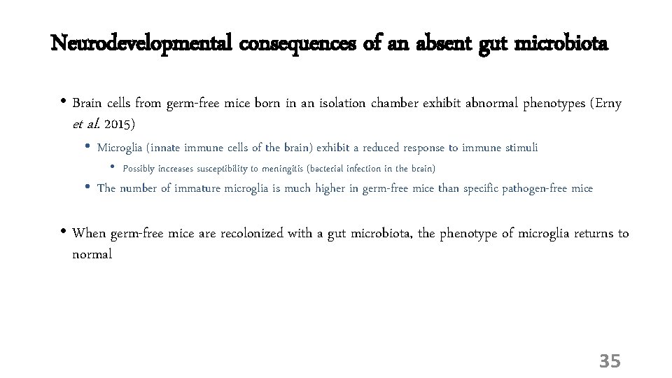 Neurodevelopmental consequences of an absent gut microbiota • Brain cells from germ-free mice born