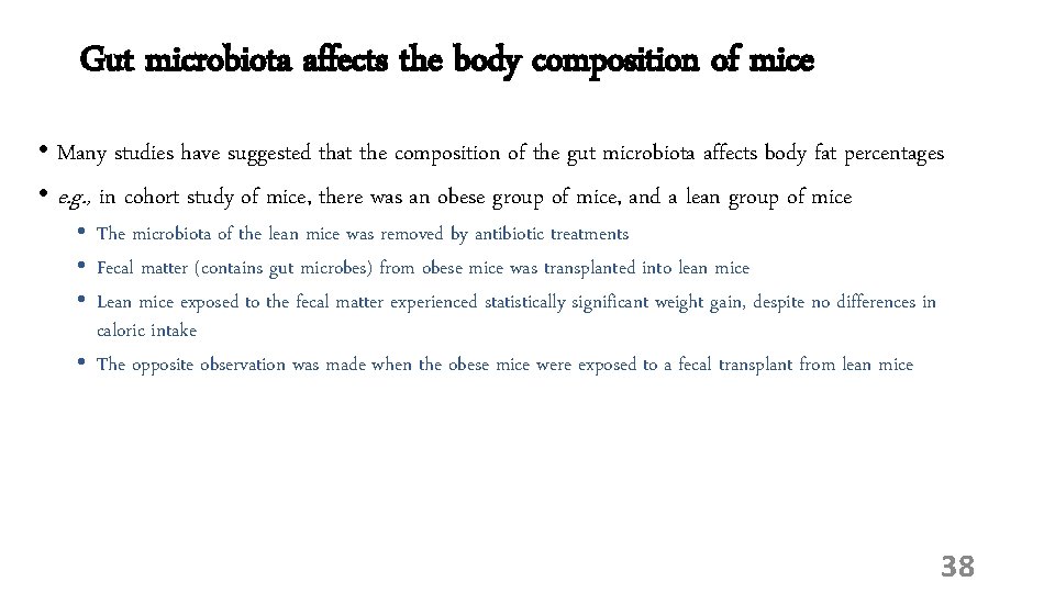 Gut microbiota affects the body composition of mice • Many studies have suggested that