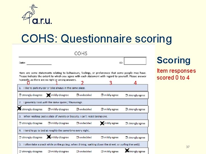 COHS: Questionnaire scoring Scoring 0 3/5/2021 1 2 3 Becoming a Researcher: Using Data