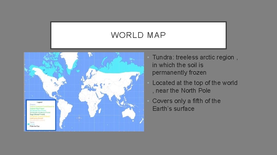 WORLD MAP • • Tundra: treeless arctic region , in which the soil is