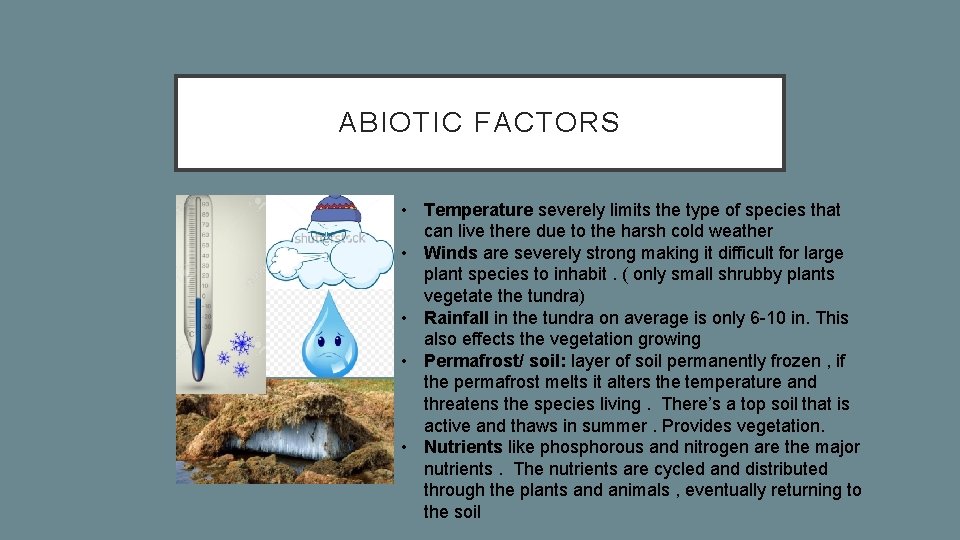 ABIOTIC FACTORS • Temperature severely limits the type of species that can live there