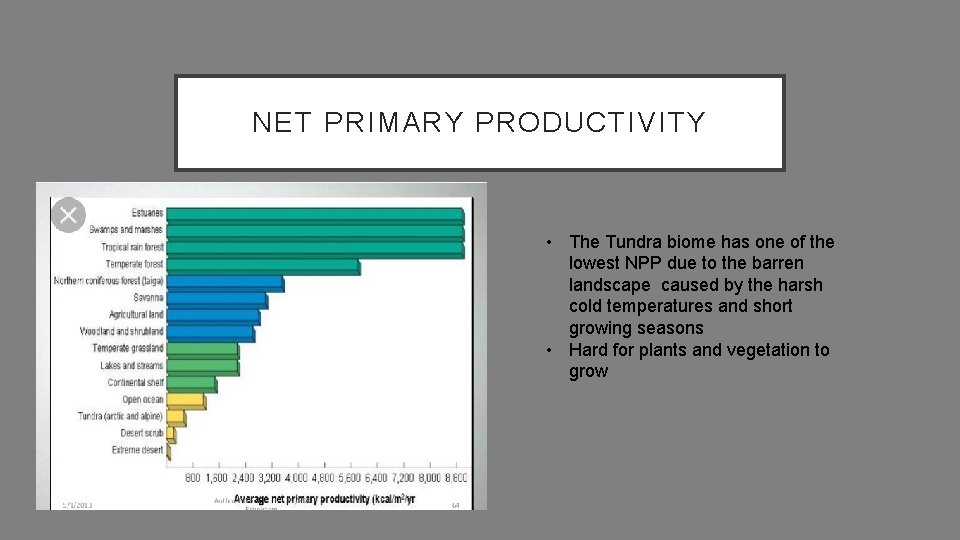 NET PRIMARY PRODUCTIVITY • The Tundra biome has one of the lowest NPP due