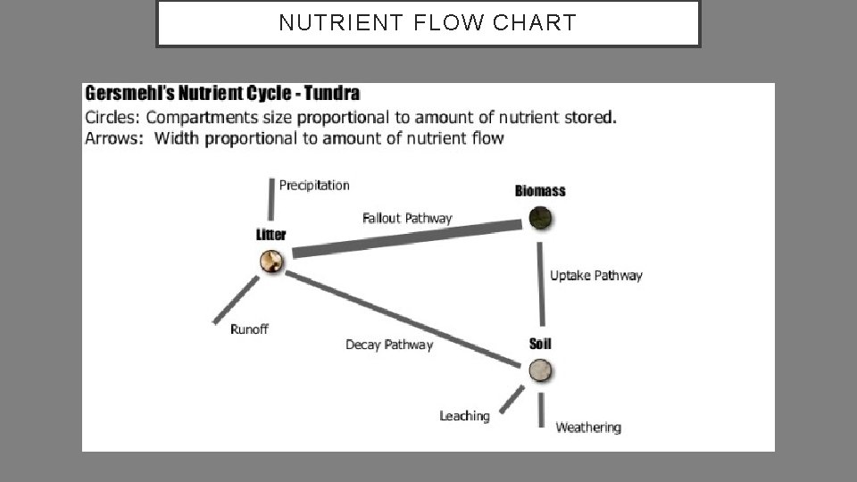 NUTRIENT FLOW CHART 