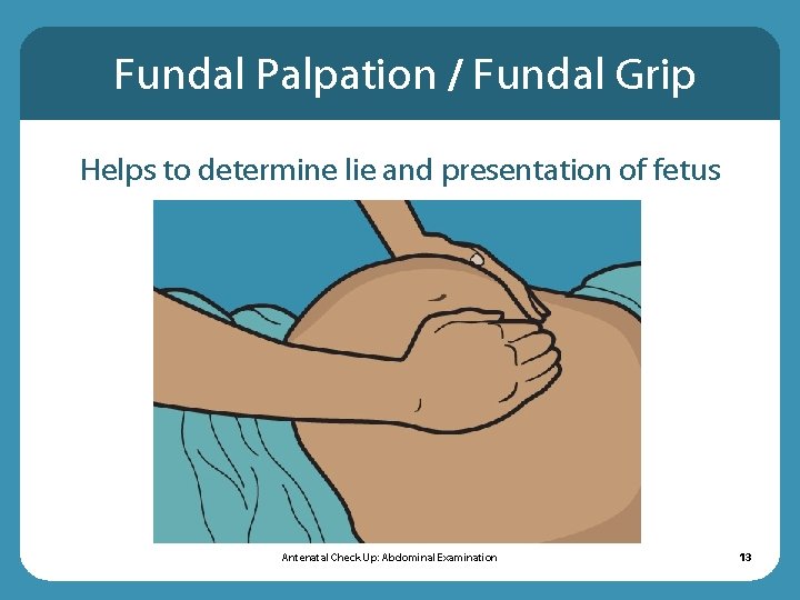 Fundal Palpation / Fundal Grip Helps to determine lie and presentation of fetus Antenatal