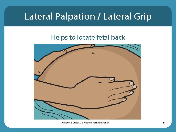 Lateral Palpation / Lateral Grip Helps to locate fetal back Antenatal Check Up: Abdominal Lateral Palpation / Lateral Grip Helps to locate fetal back Antenatal Check Up: Abdominal