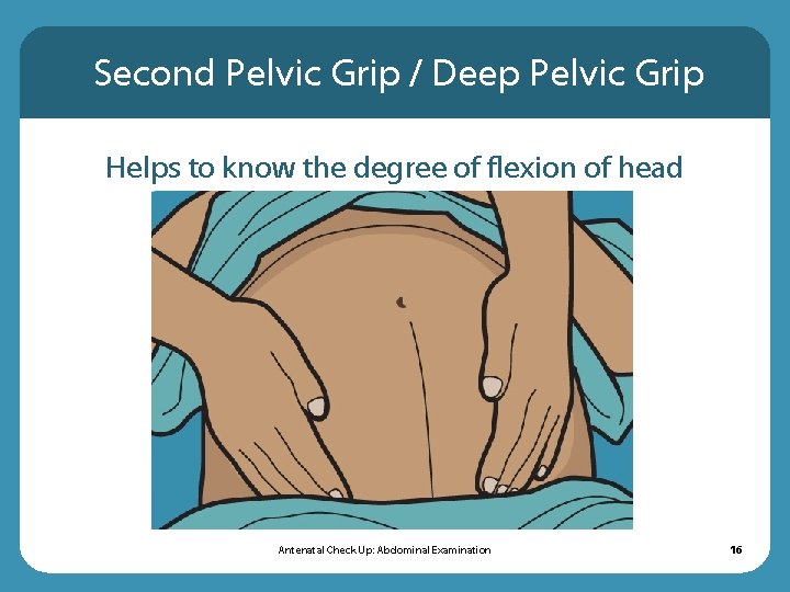 Second Pelvic Grip / Deep Pelvic Grip Helps to know the degree of flexion Second Pelvic Grip / Deep Pelvic Grip Helps to know the degree of flexion