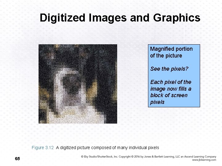 Digitized Images and Graphics Magnified portion of the picture See the pixels? Each pixel
