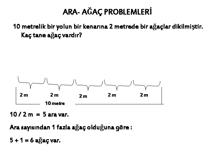 ARA- AĞAÇ PROBLEMLERİ 10 metrelik bir yolun bir kenarına 2 metrede bir ağaçlar dikilmiştir.