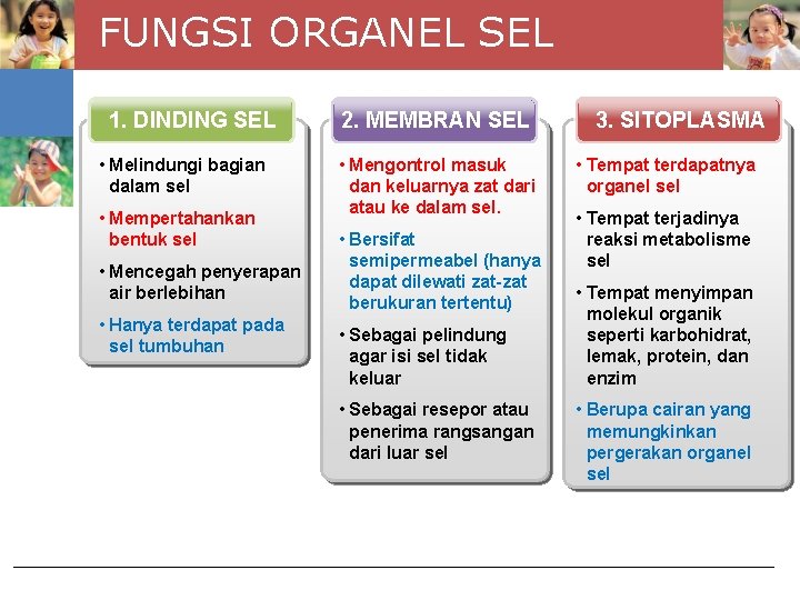 FUNGSI ORGANEL SEL 1. DINDING SEL • Melindungi bagian dalam sel • Mempertahankan bentuk