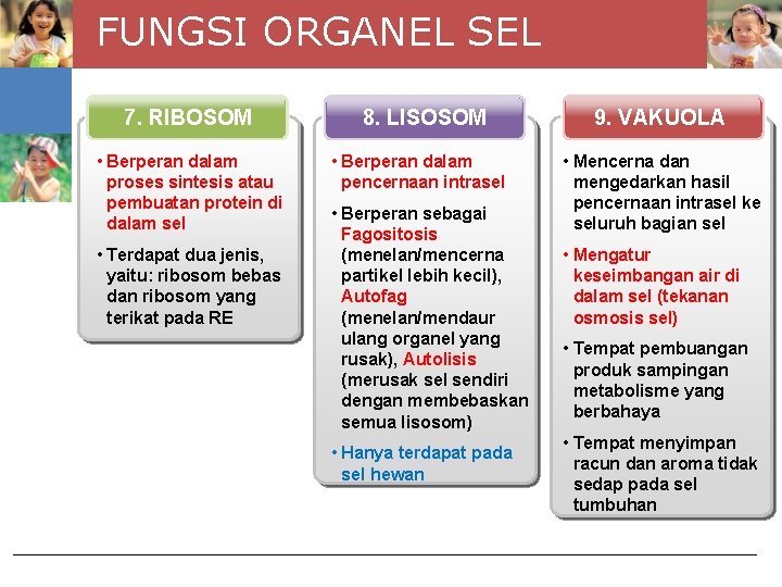FUNGSI ORGANEL SEL 7. RIBOSOM • Berperan dalam proses sintesis atau pembuatan protein di