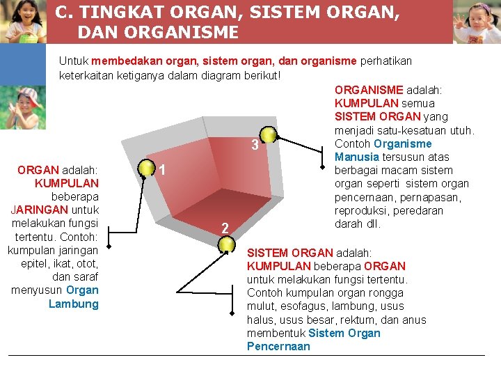 C. TINGKAT ORGAN, SISTEM ORGAN, DAN ORGANISME Untuk membedakan organ, sistem organ, dan organisme