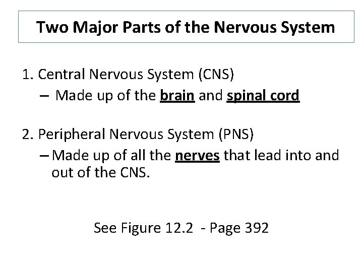 Two Major Parts of the Nervous System 1. Central Nervous System (CNS) – Made
