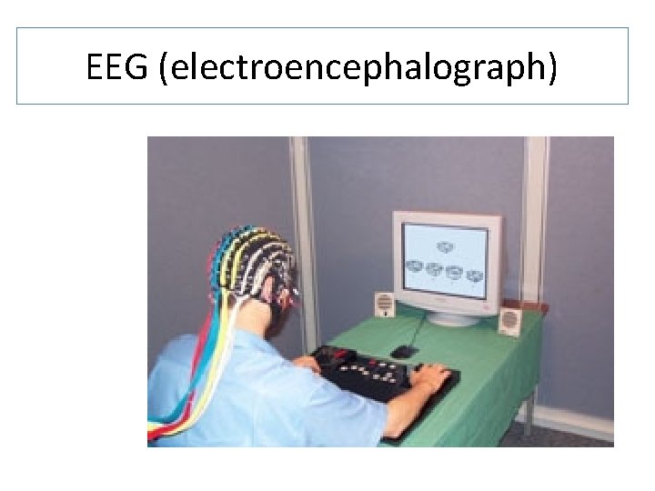 EEG (electroencephalograph) 