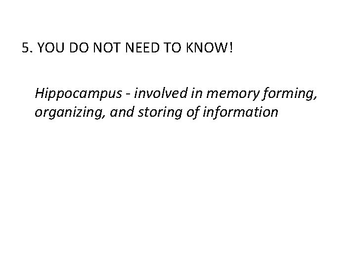 5. YOU DO NOT NEED TO KNOW! Hippocampus - involved in memory forming, organizing,