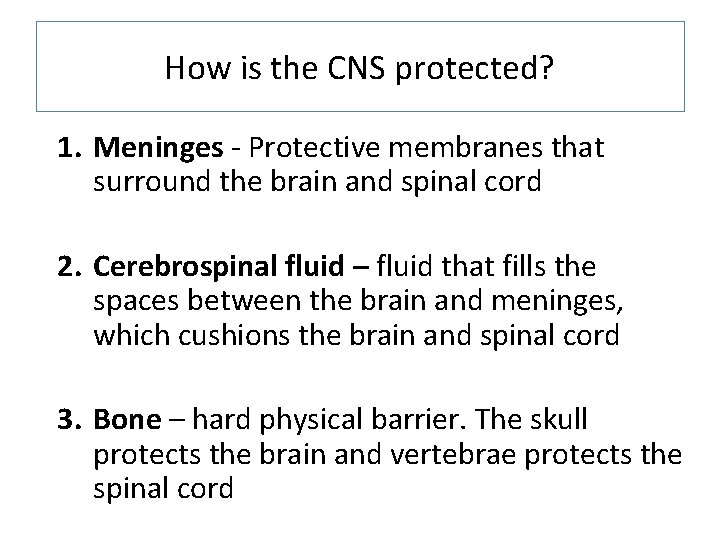 How is the CNS protected? 1. Meninges - Protective membranes that surround the brain