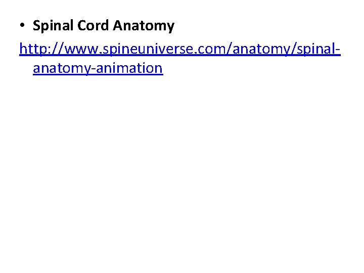  • Spinal Cord Anatomy http: //www. spineuniverse. com/anatomy/spinalanatomy-animation 