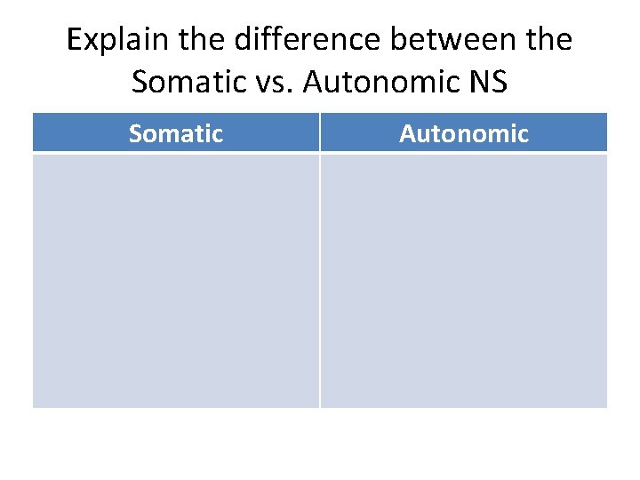 Explain the difference between the Somatic vs. Autonomic NS Somatic Autonomic 