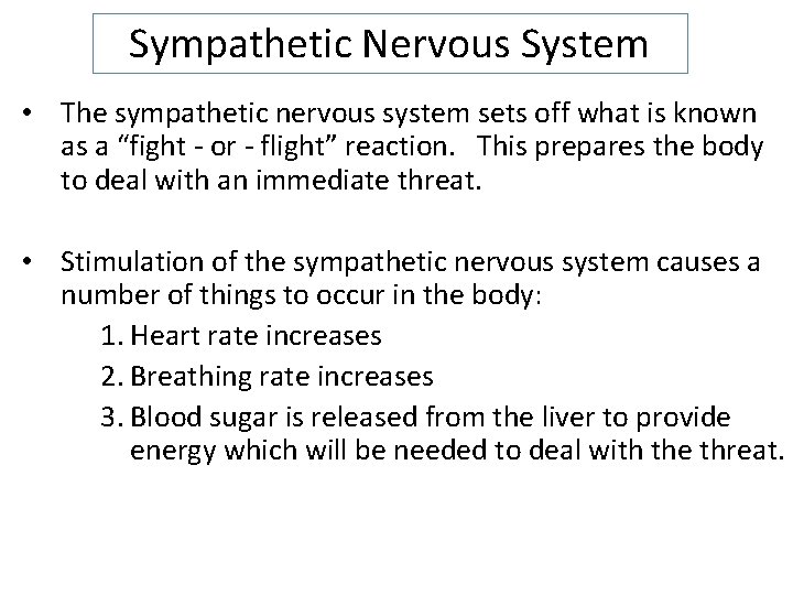 Sympathetic Nervous System • The sympathetic nervous system sets off what is known as
