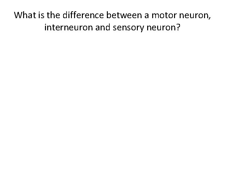 What is the difference between a motor neuron, interneuron and sensory neuron? 