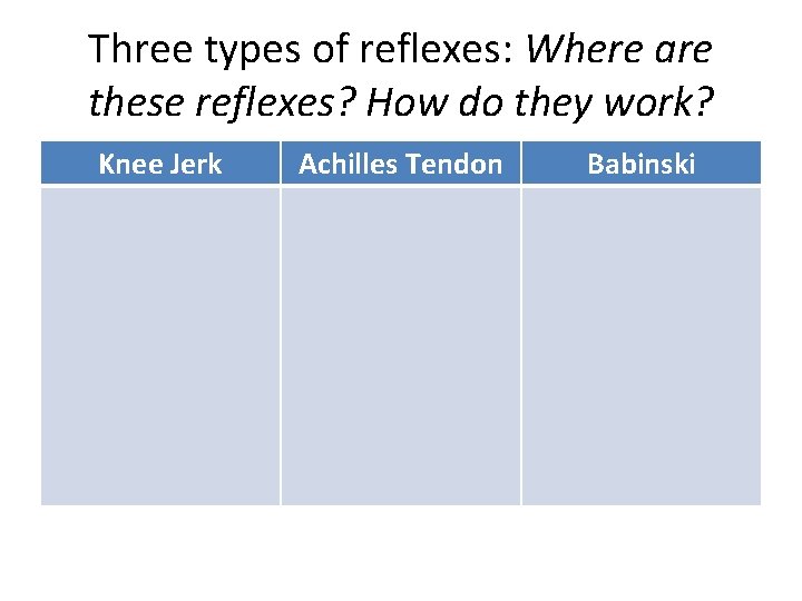 Three types of reflexes: Where are these reflexes? How do they work? Knee Jerk