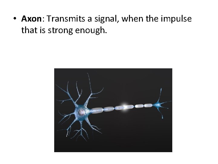  • Axon: Transmits a signal, when the impulse that is strong enough. 