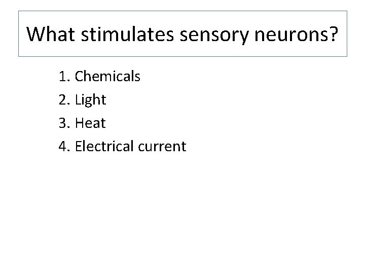 What stimulates sensory neurons? 1. Chemicals 2. Light 3. Heat 4. Electrical current 