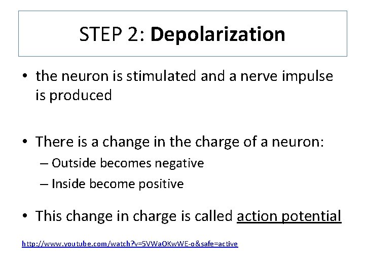 STEP 2: Depolarization • the neuron is stimulated and a nerve impulse is produced
