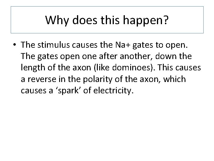 Why does this happen? • The stimulus causes the Na+ gates to open. The