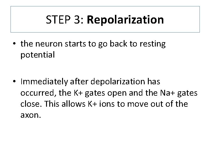 STEP 3: Repolarization • the neuron starts to go back to resting potential •