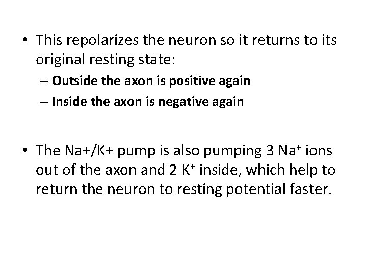  • This repolarizes the neuron so it returns to its original resting state: