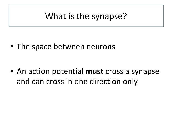 What is the synapse? • The space between neurons • An action potential must