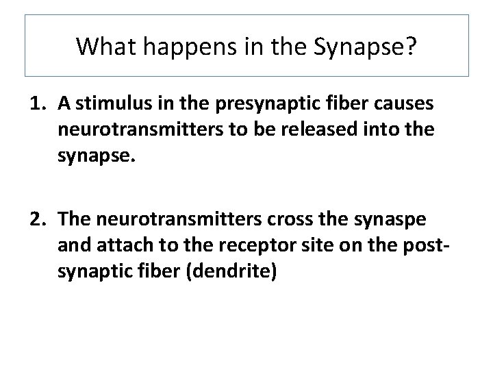 What happens in the Synapse? 1. A stimulus in the presynaptic fiber causes neurotransmitters